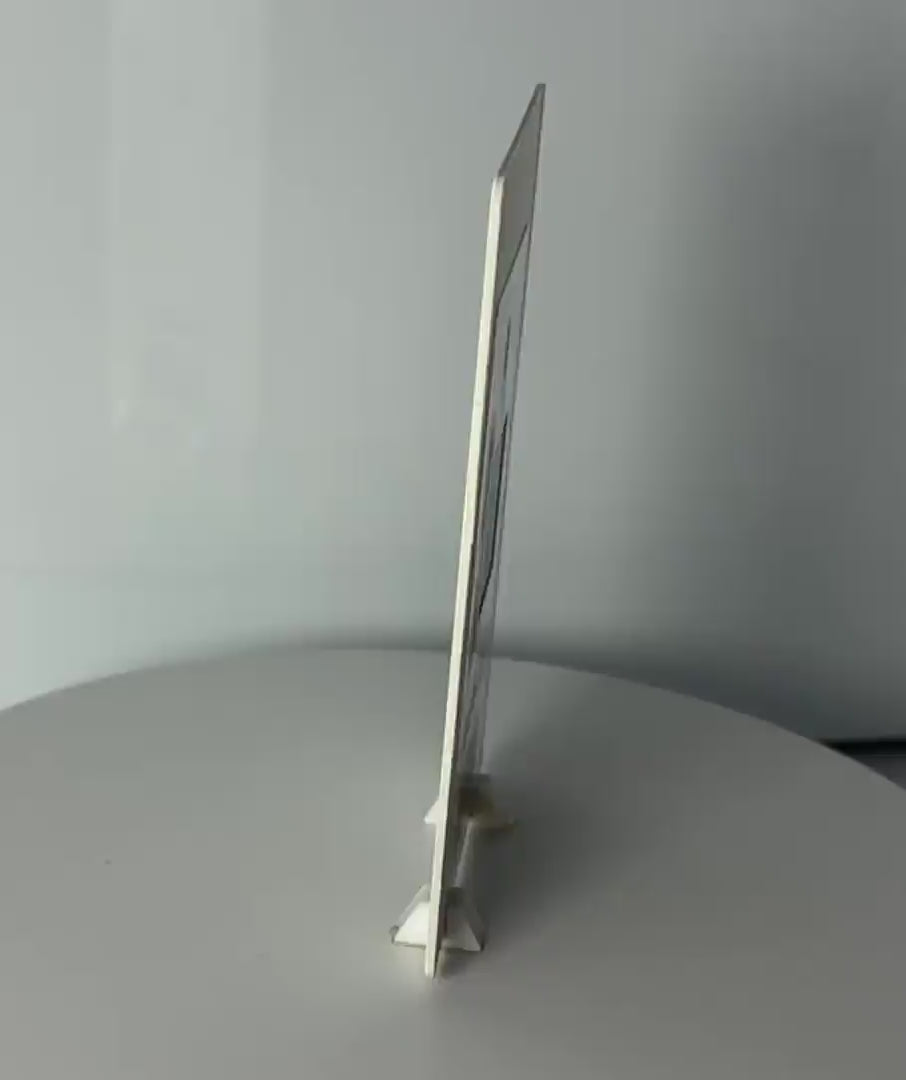 Calibration Plate Cassette (10pcs) CALIB01